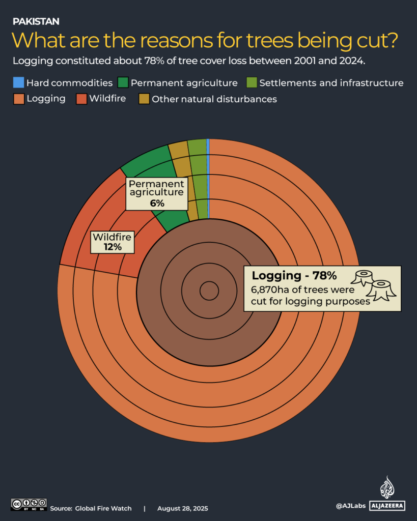 Donut chart showing reasons for tree cutting in Pakistan (2001–2024), highlighting that Logging accounts for 78% of tree cover loss, followed by Wildfire (12%) and Permanent Agriculture (6%).
