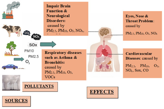 This infographic outlines the major sources of smog, including factories, agricultural emissions, wildfires, and vehicles, which release pollutants. These pollutants severely impact human health, causing respiratory illnesses (asthma/bronchitis), cardiovascular diseases, and neurological disorders, in addition to problems with the eyes, nose, and throat.